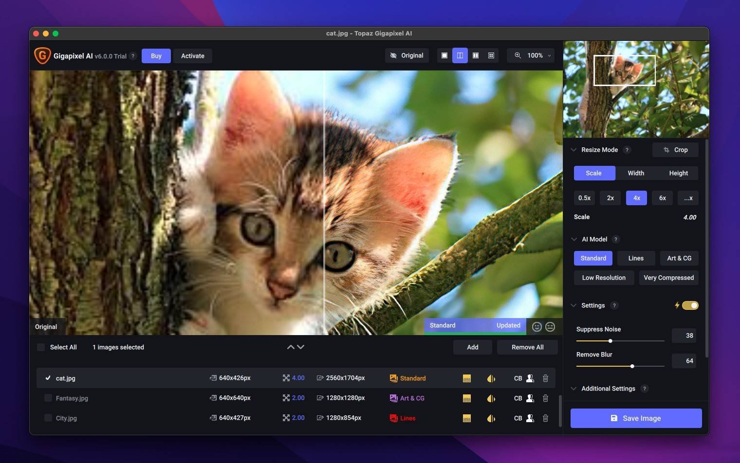 Topaz Gigapixel 1.0.8