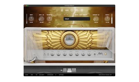 Neural DSP Archetype Rabea X v1.0.1