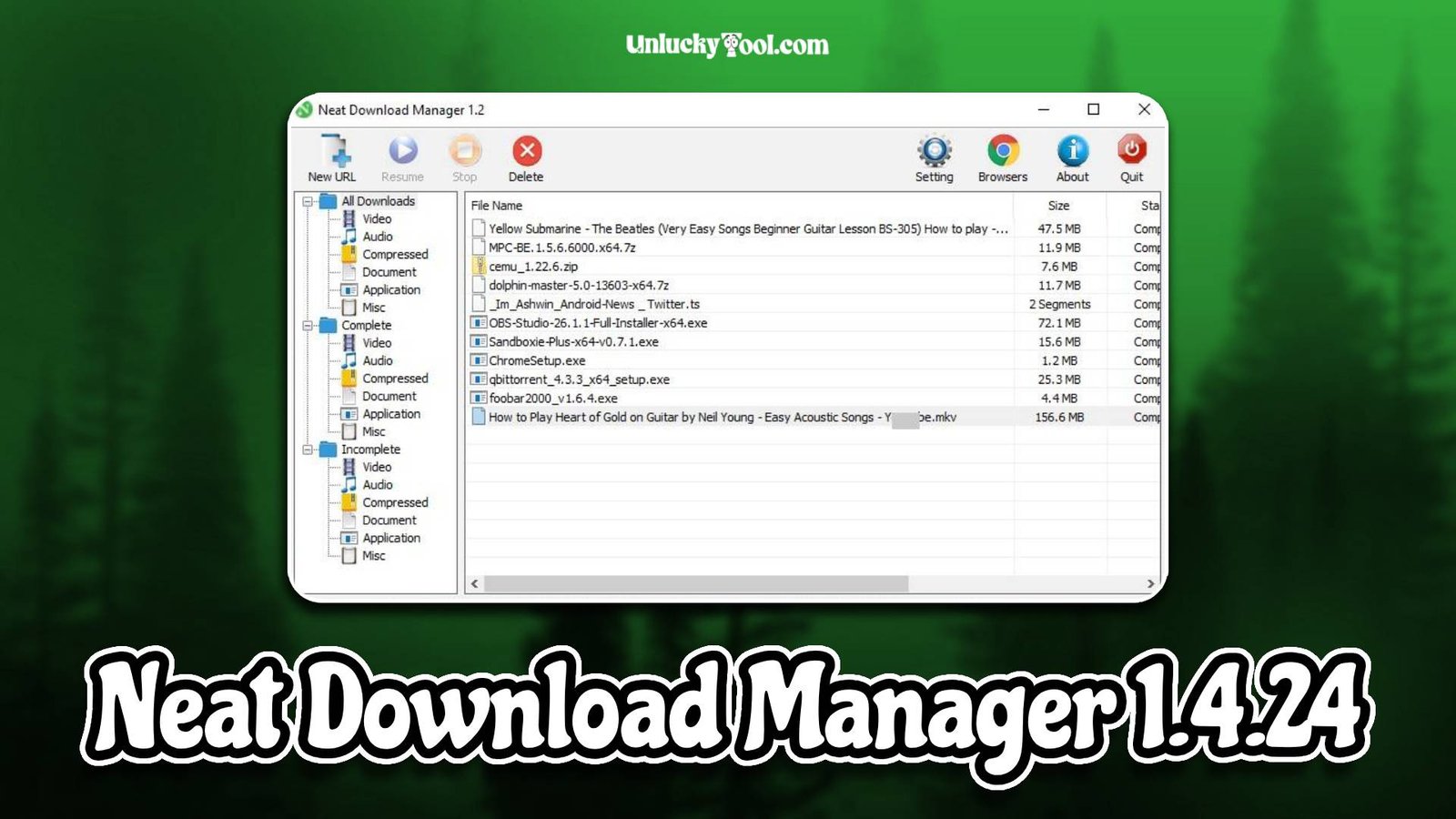Neat Download Manager 1.4.24