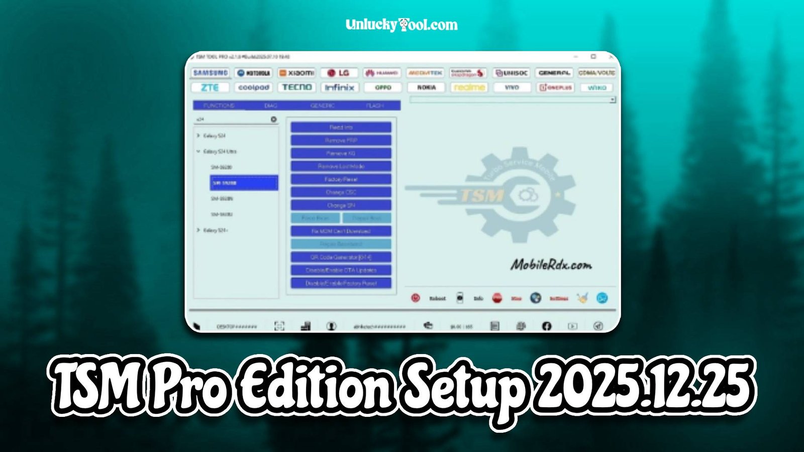 TSM Pro Edition Setup 2025.12.25